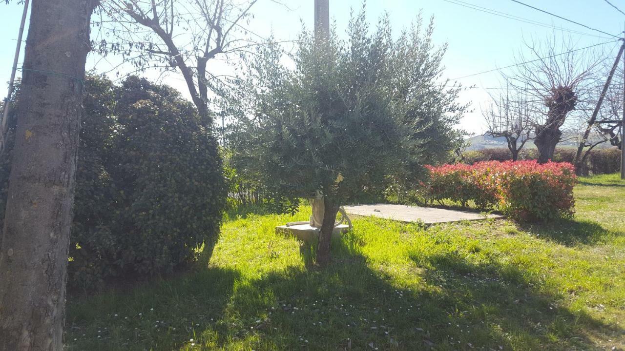 Casa Selene Rocchi Villa Savignano sul Panaro Dış mekan fotoğraf